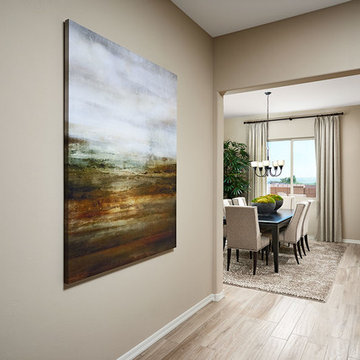 Delaney model home in Arizona
