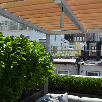 Financial District Penthouse