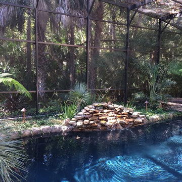 Jungle Love Pool Area