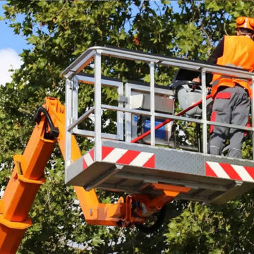 Tree Service, Stump Grinding