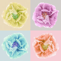 Poppy Art Andy - Wallpaper