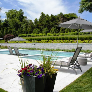 Modern & Bright Swimming Pool + Spa NY Design