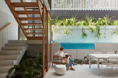 Patio - modern courtyard patio idea in Brisbane
