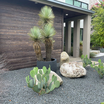 Turtle Creek Modern Landscape