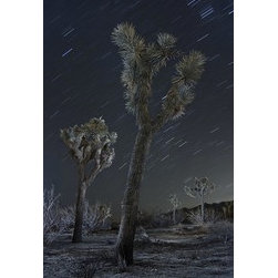 Landscapes - Artwork