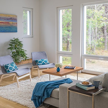 Wellfleet Modern House - Living Room