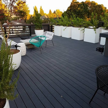 Northeast Portland Modern Rooftop Garden