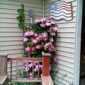 Sandra Suhr's photo