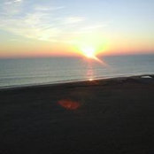 Lois Harak's photo