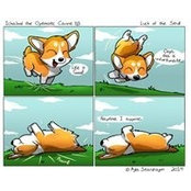 Titiu Nylund's photo