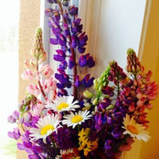 laurie h's photo
