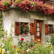 Berceni City-Farmer's photo