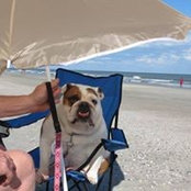 Susie DeNault's photo