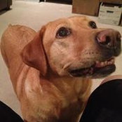 Greg Nelson's photo