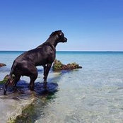 stuart hall's photo