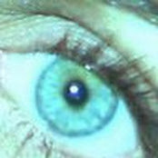 Susan McDonic's photo