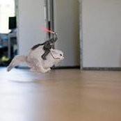 Stacy Hoffman's photo