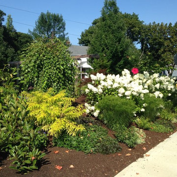 Spectator's delight urban garden