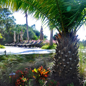 Family Beachfront Resort