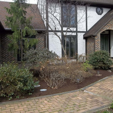 Dogwood Lane Project