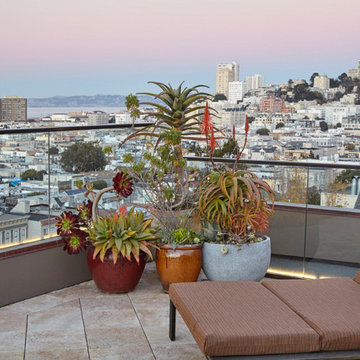 Garden in the City
