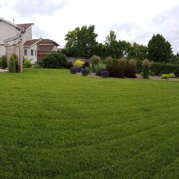 Backyard patio with curved pergolas & outdoor kitchen
