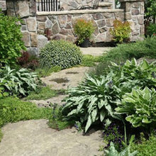 Garden ideas