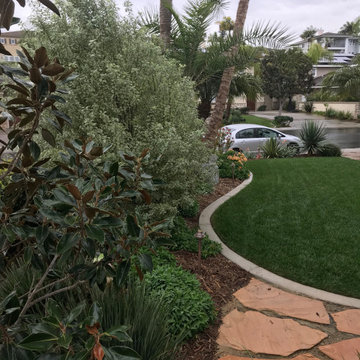 Encinitas Front Yard