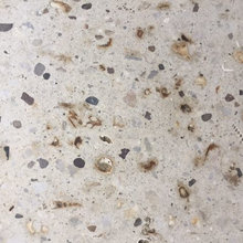 Artistic Pavers