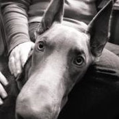 John Kopecky's photo