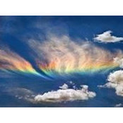 Rita Zindorf's photo