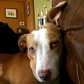 Kyle Doane's photo