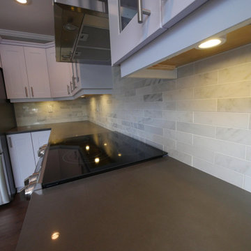 Langley Main Floor Renovation