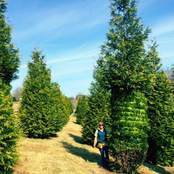 Farms - Gardening And Lawn Care