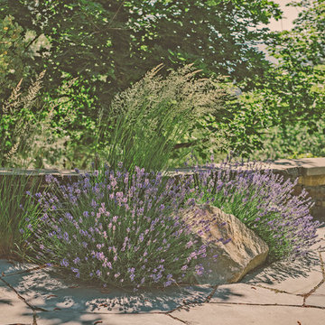 Flagstone Patio and Waterwise Garden
