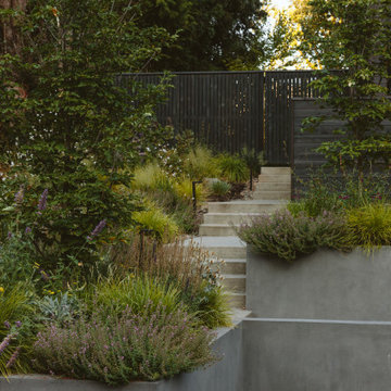 The Willamette River House