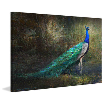 "Jungle Stream Peacock" Print on Canvas by Chris Vest