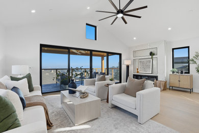 Inspiration for a modern living room remodel in San Francisco