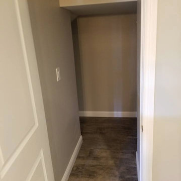 Basement Build Out