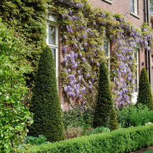 Exterior Ideas