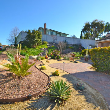 92124-Tierrasanta-Colorful Xeriscape/ Low Water/ Low Maintenance Front Yard