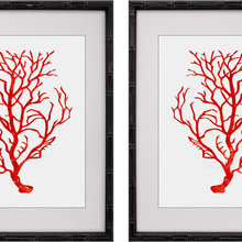 maureen_chard's ideas