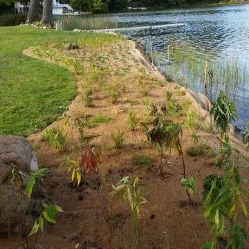 Natural Shoreline on Clear Lake in Grass Lake, MI