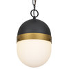 Brian Patrick Flynn for Capsule 13" Outdoor Ceiling Light in Black And Gold