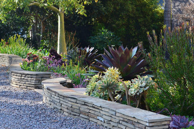 Photo of a contemporary landscaping in San Diego.