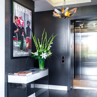 シカゴの中サイズのコンテンポラリースタイルのおしゃれな玄関ドア (黒い壁、濃色無垢フローリング) の写真