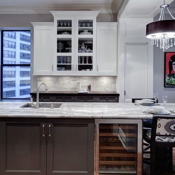Transitional South Loop Kitchen Remodel