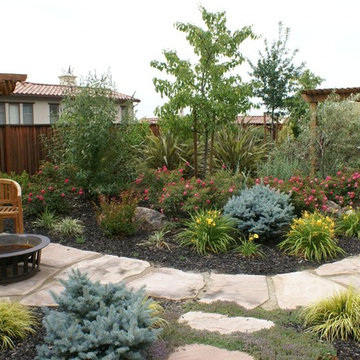 Lawn free landscape