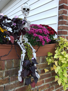 10 Spooky Halloween Decorating Ideas to Try in Your Garden