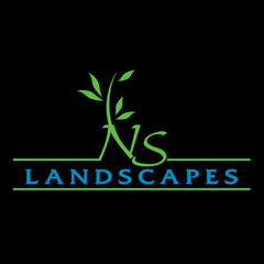 NS Landscapes